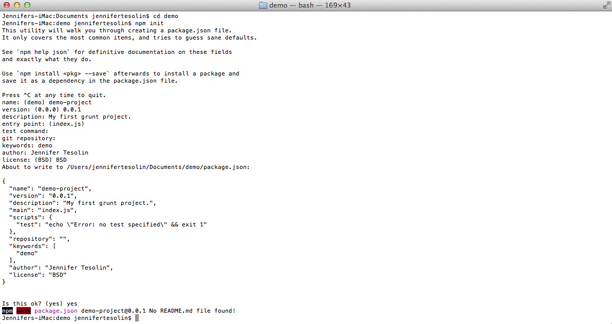 npm init output in the terminal